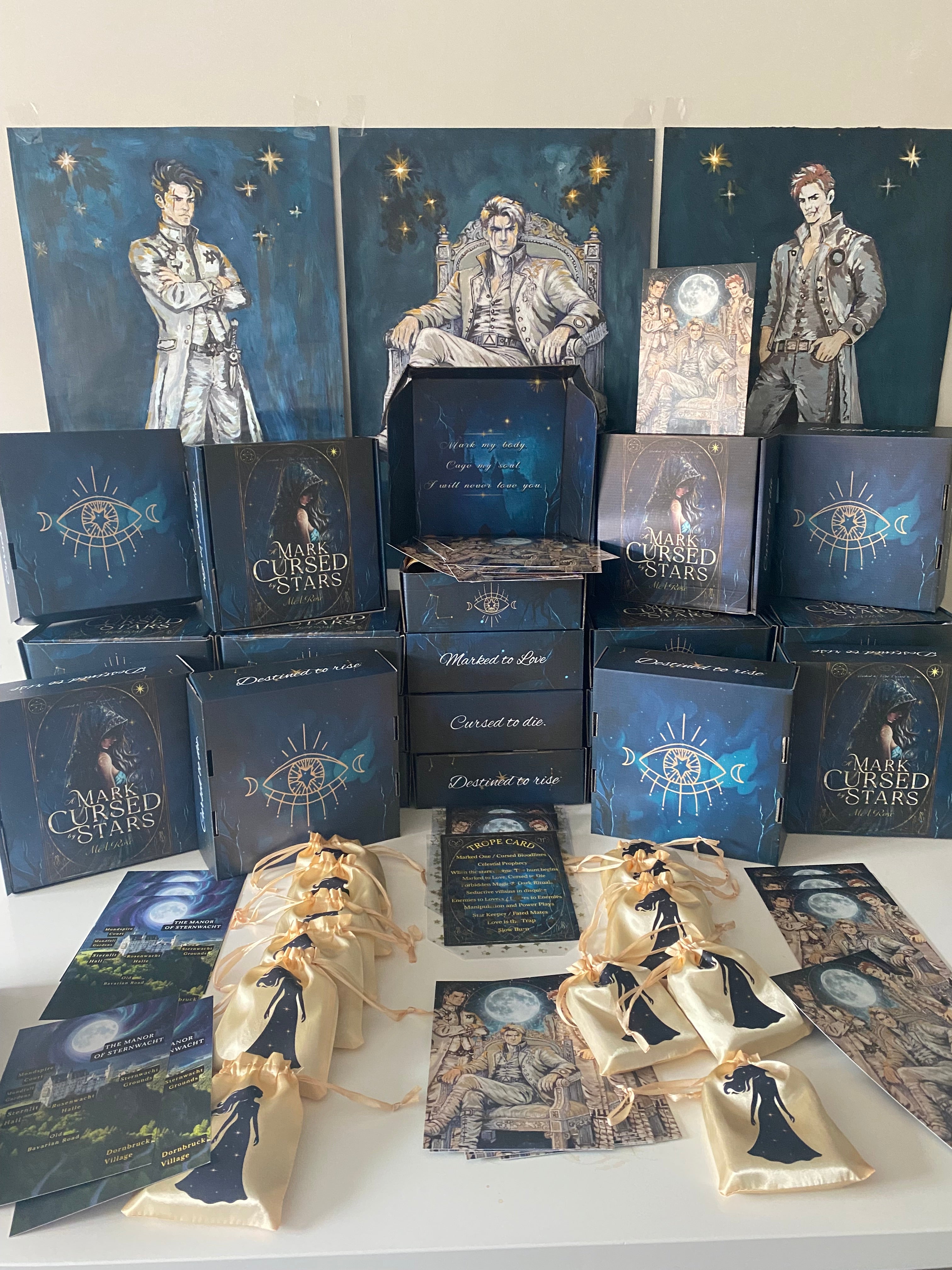A Mark Cursed by Stars Book in a Box