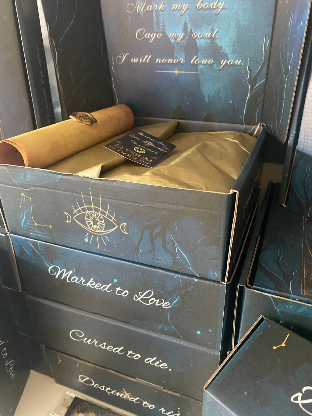 A Mark Cursed by Stars — Signed Pre‑Order Book Box (Limited Edition)
